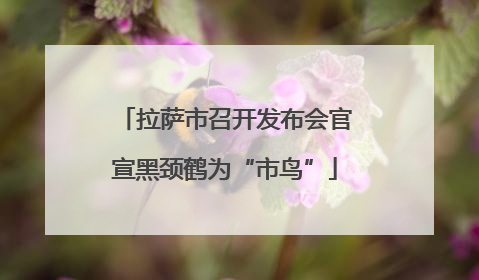 拉萨市召开发布会官宣黑颈鹤为“市鸟”