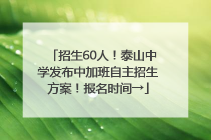 招生60人！泰山中学发布中加班自主招生方案！报名时间→