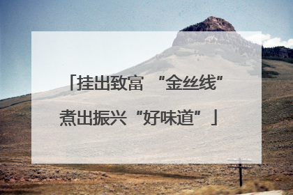 挂出致富 “金丝线” 煮出振兴“好味道”