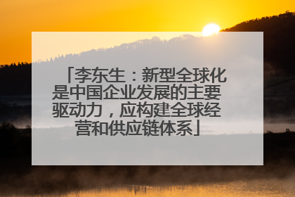 李东生：新型全球化是中国企业发展的主要驱动力，应构建全球经营和供应链体系