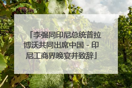 李强同印尼总统普拉博沃共同出席中国－印尼工商界晚宴并致辞