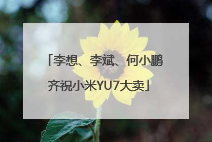 李想、李斌、何小鹏齐祝小米YU7大卖