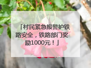 村民紧急报警护铁路安全，铁路部门奖励1000元！