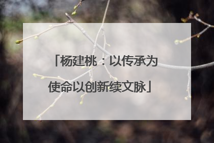 杨建桃：以传承为使命以创新续文脉