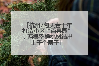 杭州7旬夫妻十年打造小区“百果园”，两棵猕猴桃树结出上千个果子