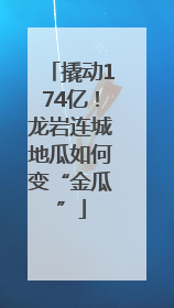 撬动174亿！龙岩连城地瓜如何变“金瓜”