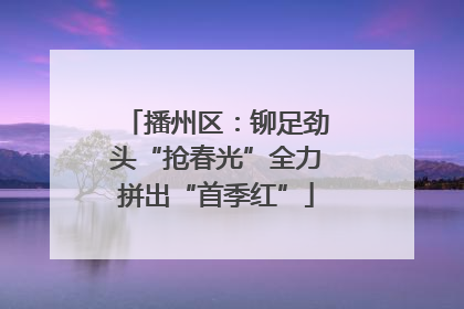 播州区：铆足劲头“抢春光”全力拼出“首季红”