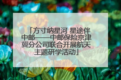 方寸纳星河 星途伴中邮——中邮保险京津冀分公司联合开展航天主题研学活动
