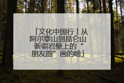 文化中国行丨从阿尔泰山到昆仑山 新疆岩壁上的“朋友圈”画的啥