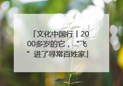 文化中国行丨2000多岁的它，“飞”进了寻常百姓家
