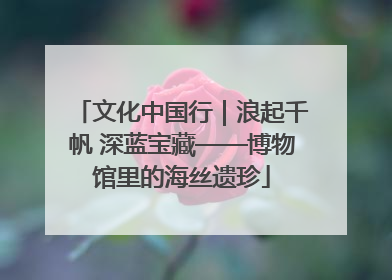 文化中国行｜浪起千帆 深蓝宝藏——博物馆里的海丝遗珍