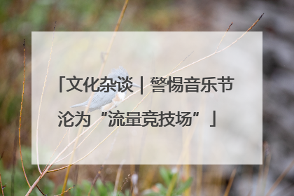 文化杂谈｜警惕音乐节沦为“流量竞技场”