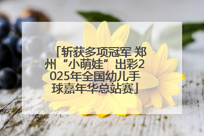 斩获多项冠军 郑州“小萌娃”出彩2025年全国幼儿手球嘉年华总站赛