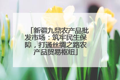 新疆九鼎农产品批发市场：筑牢民生保障，打通丝绸之路农产品贸易枢纽