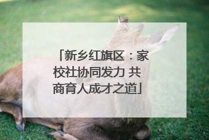 新乡红旗区：家校社协同发力 共商育人成才之道