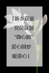 新乡获嘉：党员认领“微心愿” 爱心圆梦暖童心