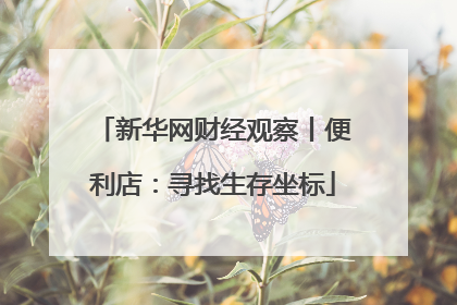 新华网财经观察丨便利店：寻找生存坐标