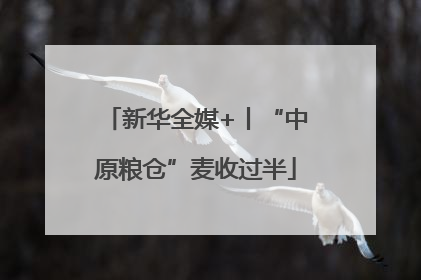 新华全媒+丨“中原粮仓”麦收过半