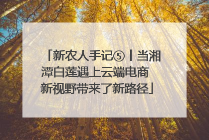 新农人手记⑤丨当湘潭白莲遇上云端电商 新视野带来了新路径