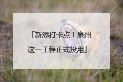 新添打卡点！泉州这一工程正式投用