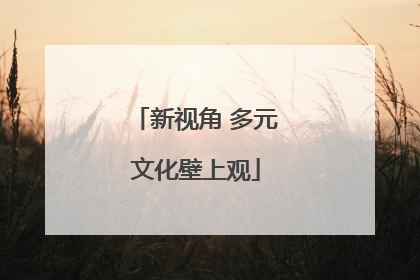 新视角 多元文化壁上观