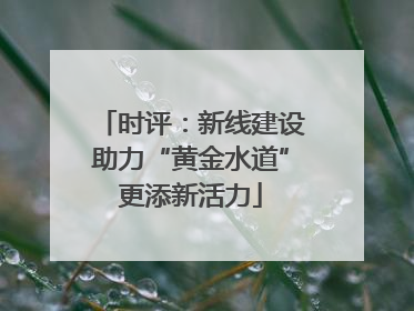 时评：新线建设助力“黄金水道”更添新活力