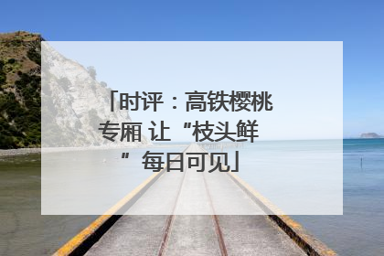 时评：高铁樱桃专厢 让“枝头鲜”每日可见