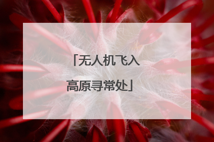 无人机飞入高原寻常处