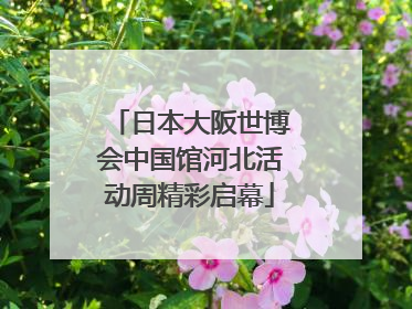 日本大阪世博会中国馆河北活动周精彩启幕