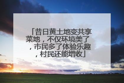 昔日黄土地变共享菜地，不仅环境美了，市民多了体验乐趣，村民还能增收