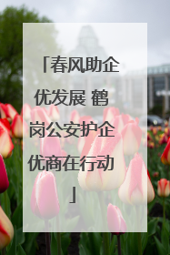 春风助企优发展 鹤岗公安护企优商在行动