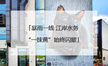 暴雨一线 江岸水务“一抹黄”始终闪耀