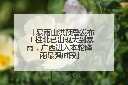 暴雨山洪预警发布！桂北已出现大到暴雨，广西进入本轮降雨最强时段