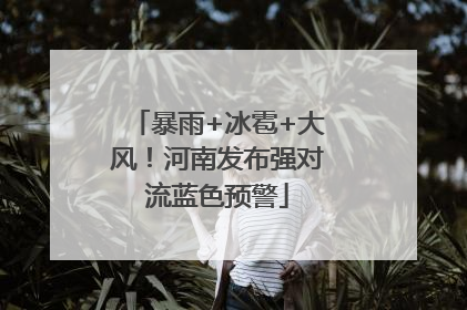 暴雨+冰雹+大风！河南发布强对流蓝色预警