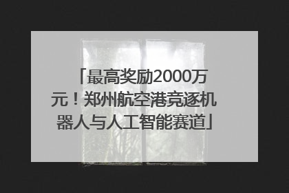 最高奖励2000万元！郑州航空港竞逐机器人与人工智能赛道