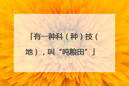 有一种科（种）技（地），叫“吨粮田”
