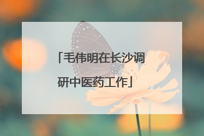 毛伟明在长沙调研中医药工作