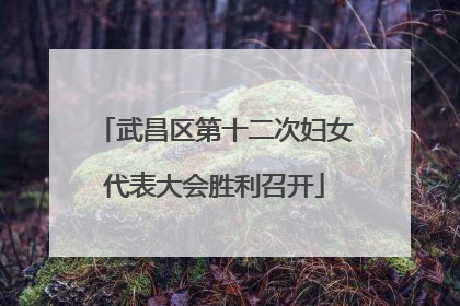 武昌区第十二次妇女代表大会胜利召开