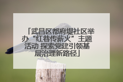武昌区都府堤社区举办“红巷传薪火”主题活动 探索党建引领基层治理新路径
