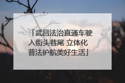 武昌法治直通车驶入街头巷尾 立体化普法护航美好生活