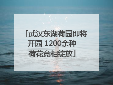 武汉东湖荷园即将开园 1200余种荷花竞相绽放