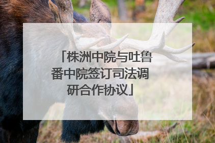 株洲中院与吐鲁番中院签订司法调研合作协议