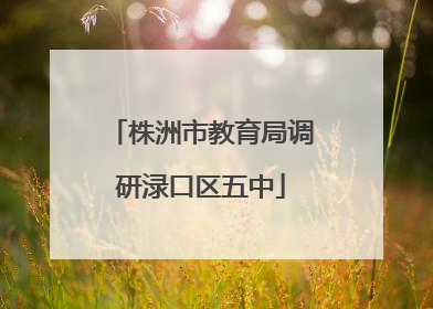 株洲市教育局调研渌口区五中