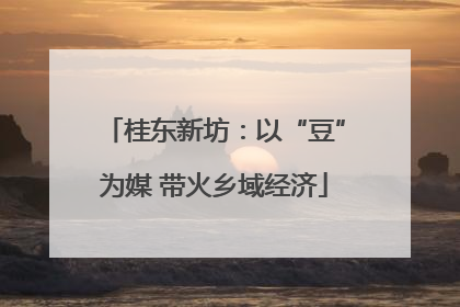 桂东新坊：以“豆”为媒 带火乡域经济