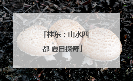 桂东：山水四都 夏日探奇