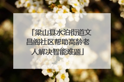 梁山县水泊街道文昌阁社区帮助高龄老人解决智能难题