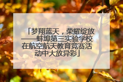 梦翔蓝天，荣耀绽放——蚌埠第三实验学校在航空航天教育竞赛活动中大放异彩