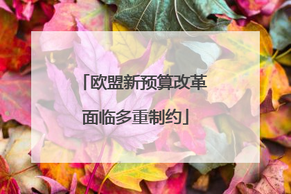 欧盟新预算改革面临多重制约