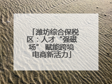 潍坊综合保税区：人才“强磁场” 赋能跨境电商新活力