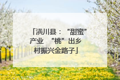 潢川县：“甜蜜”产业  “桃”出乡村振兴金路子